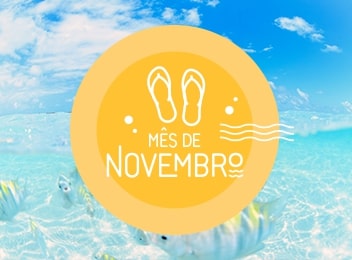 Mês de Novembro 2025
